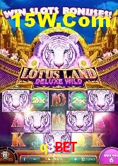 Experiência VIP q3bet